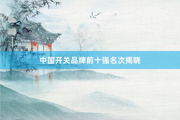 中国开关品牌前十强名次揭晓
