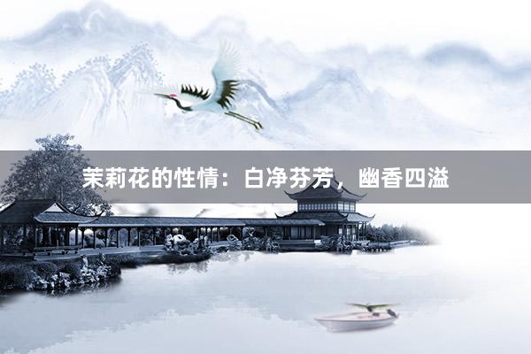 茉莉花的性情：白净芬芳，幽香四溢