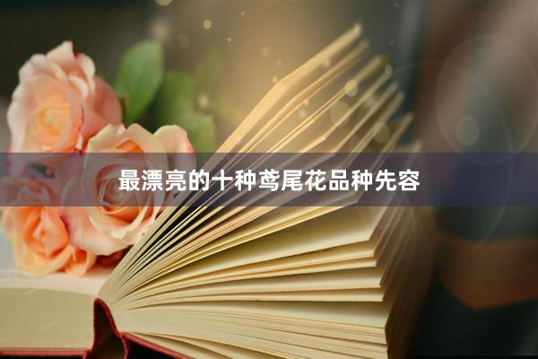 最漂亮的十种鸢尾花品种先容
