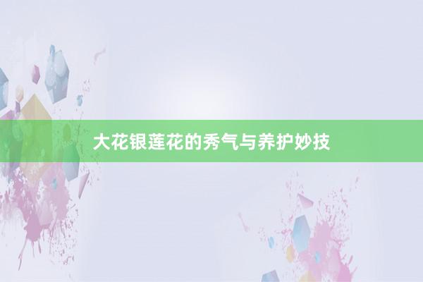 大花银莲花的秀气与养护妙技